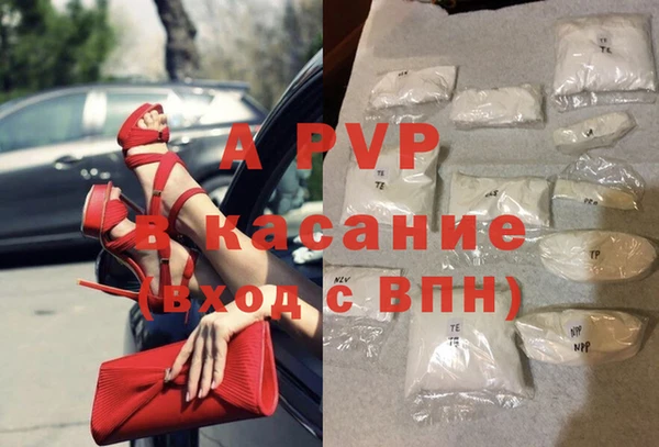 a pvp Бородино